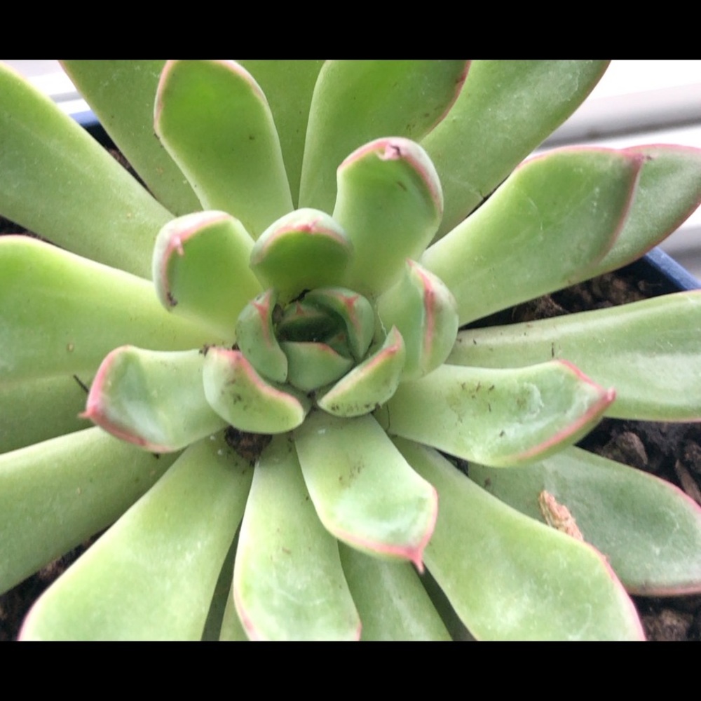 Meet your Posher, Sabina m